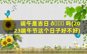 端午是吉日 🐟 吗(2023端午节这个日子好不好)